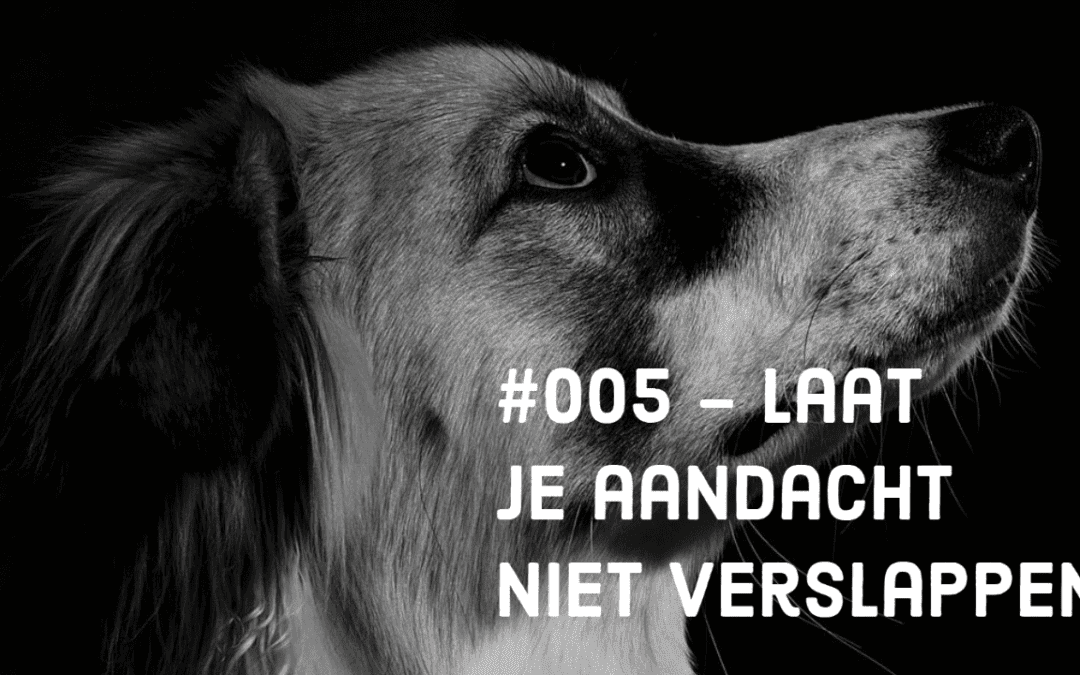 #005 – Laat je aandacht niet verslappen ~Epictetus